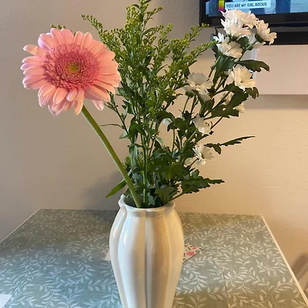 Lespinet - Duplex Avec Parking טולוז