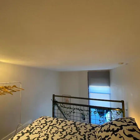 Lespinet - Duplex Avec Parking דירה טולוז