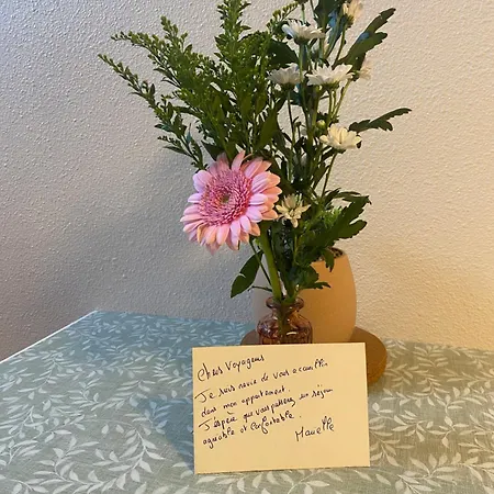 Lespinet - Duplex Avec Parking דירה טולוז