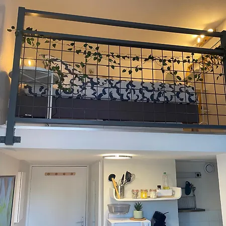 Lespinet - Duplex Avec Parking טולוז