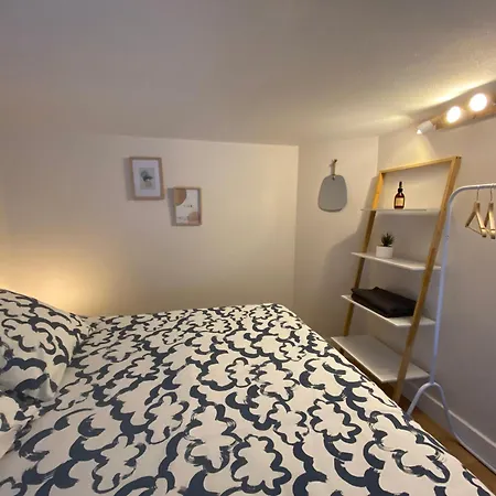 Lespinet - Duplex Avec Parking * טולוז