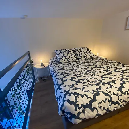 Lespinet - Duplex Avec Parking * Toulouse