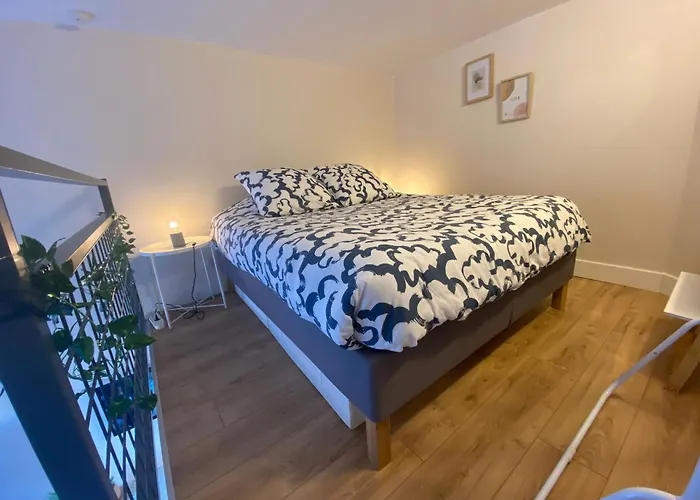 Lespinet - Duplex Avec Parking Apartmán *