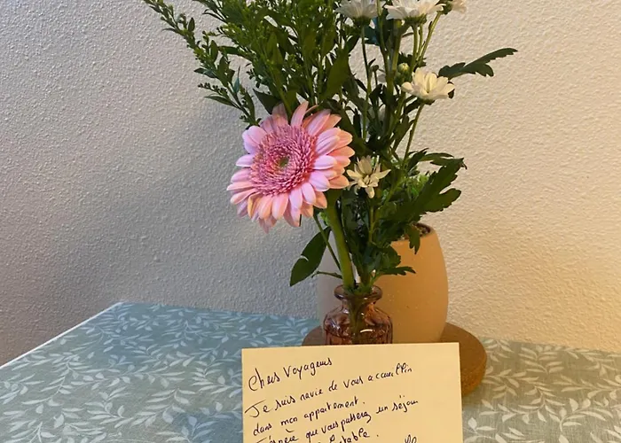 Lespinet - Duplex Avec Parking Апартаменты Тулуза