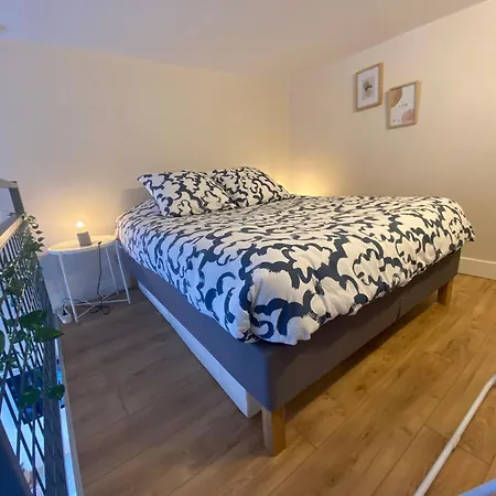 Lespinet - Duplex Avec Parking Apartmán *