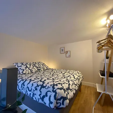 Lespinet - Duplex Avec Parking Apartmán *